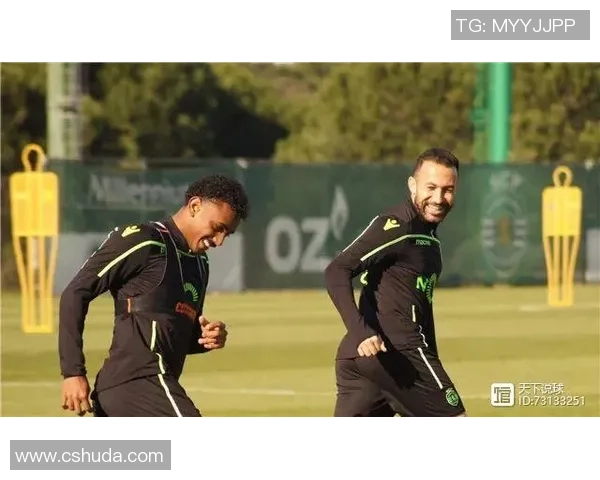 比兰尼塞斯与雷克索斯的精彩对决解析与赛后点评